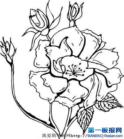 õ廨P