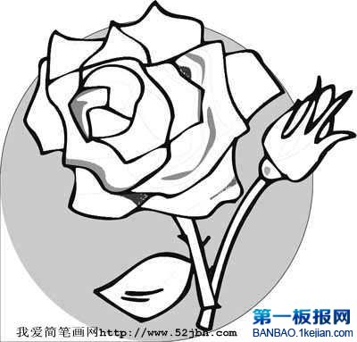 õ廨P
