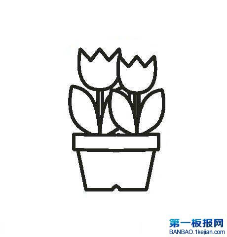 P辰