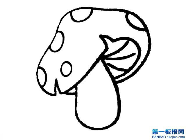 ĢP