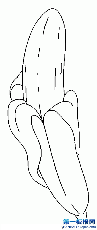 㽶P