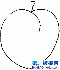 ӺP
