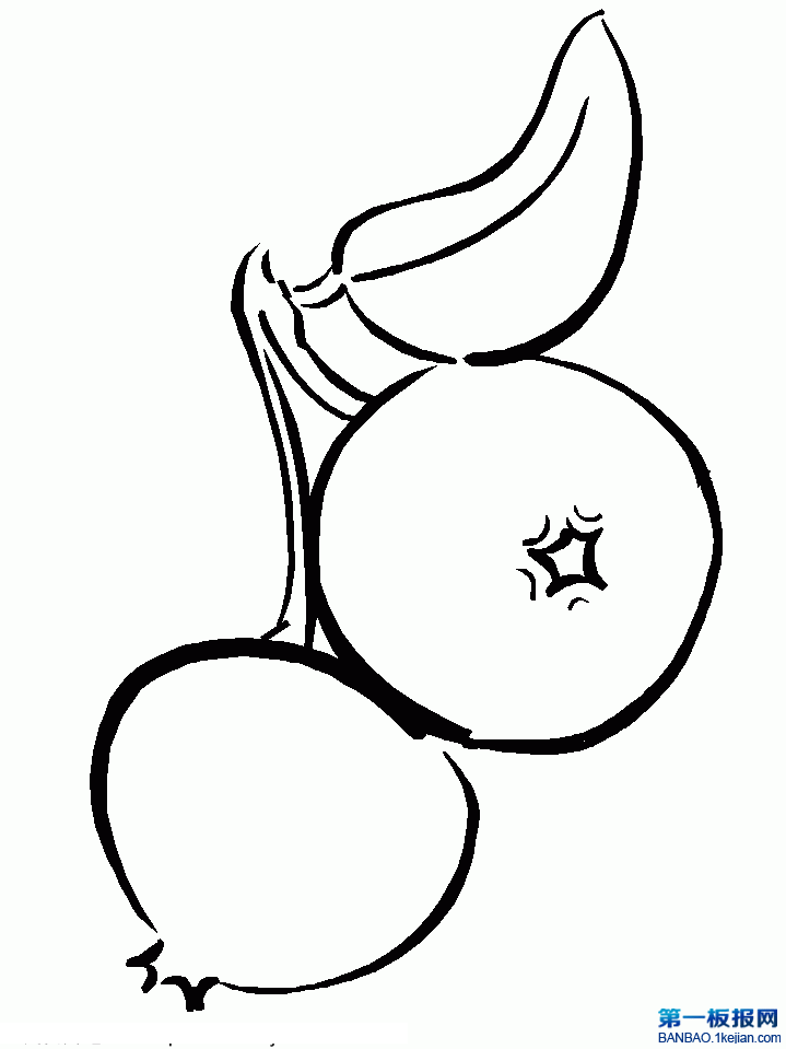 ӺP