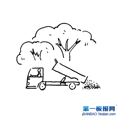 了P