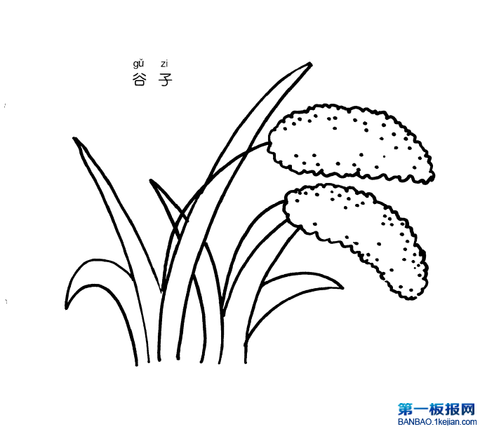 ӺP