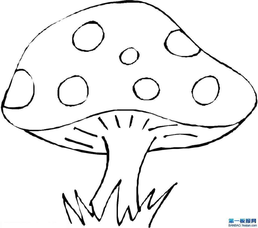 ĢPDƬ