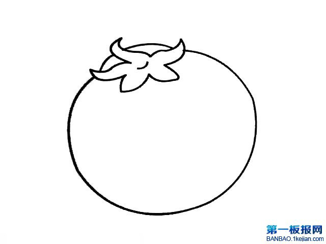 tP