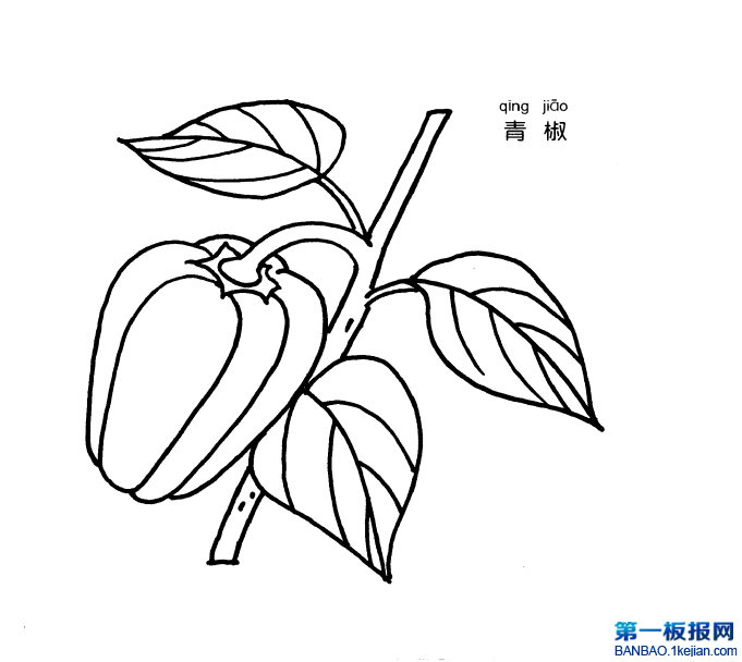 ཷP