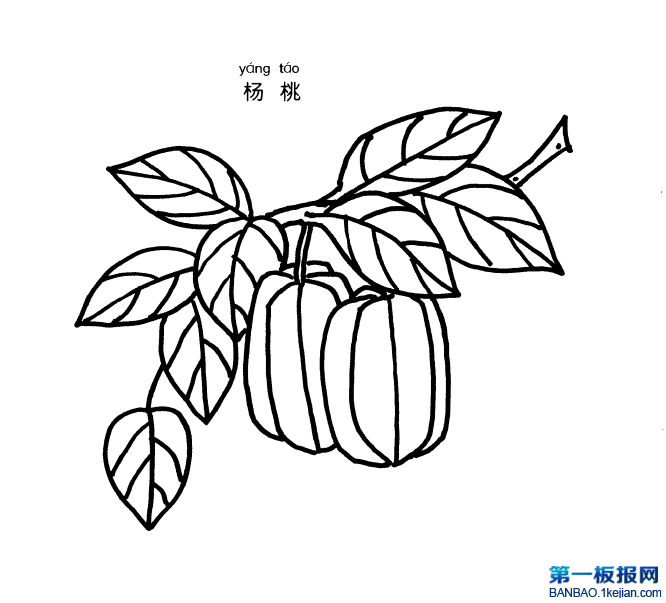 ҺP