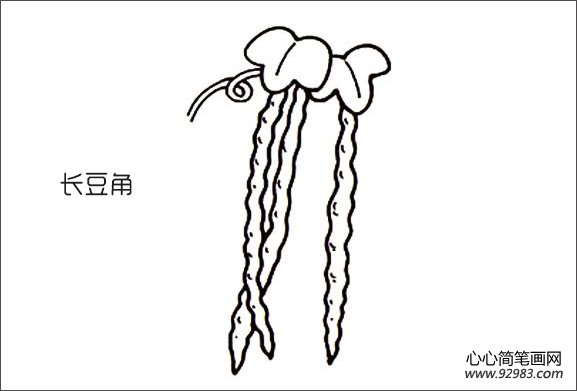LǺP