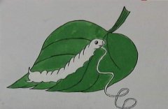 ͯQ