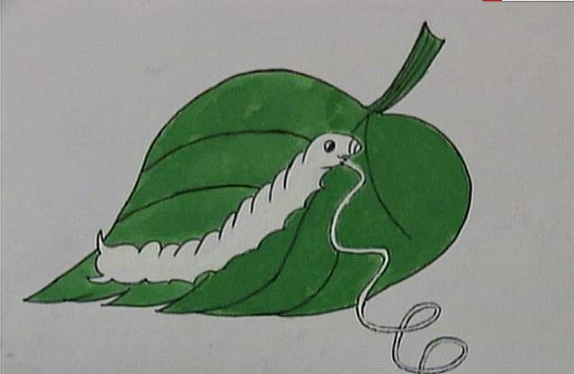 ͯQ