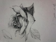 ٌ