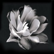 ڰ׻ܡb