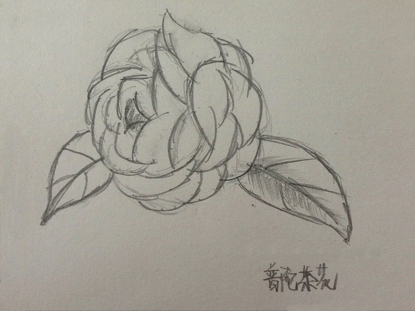 ͯӲ軨