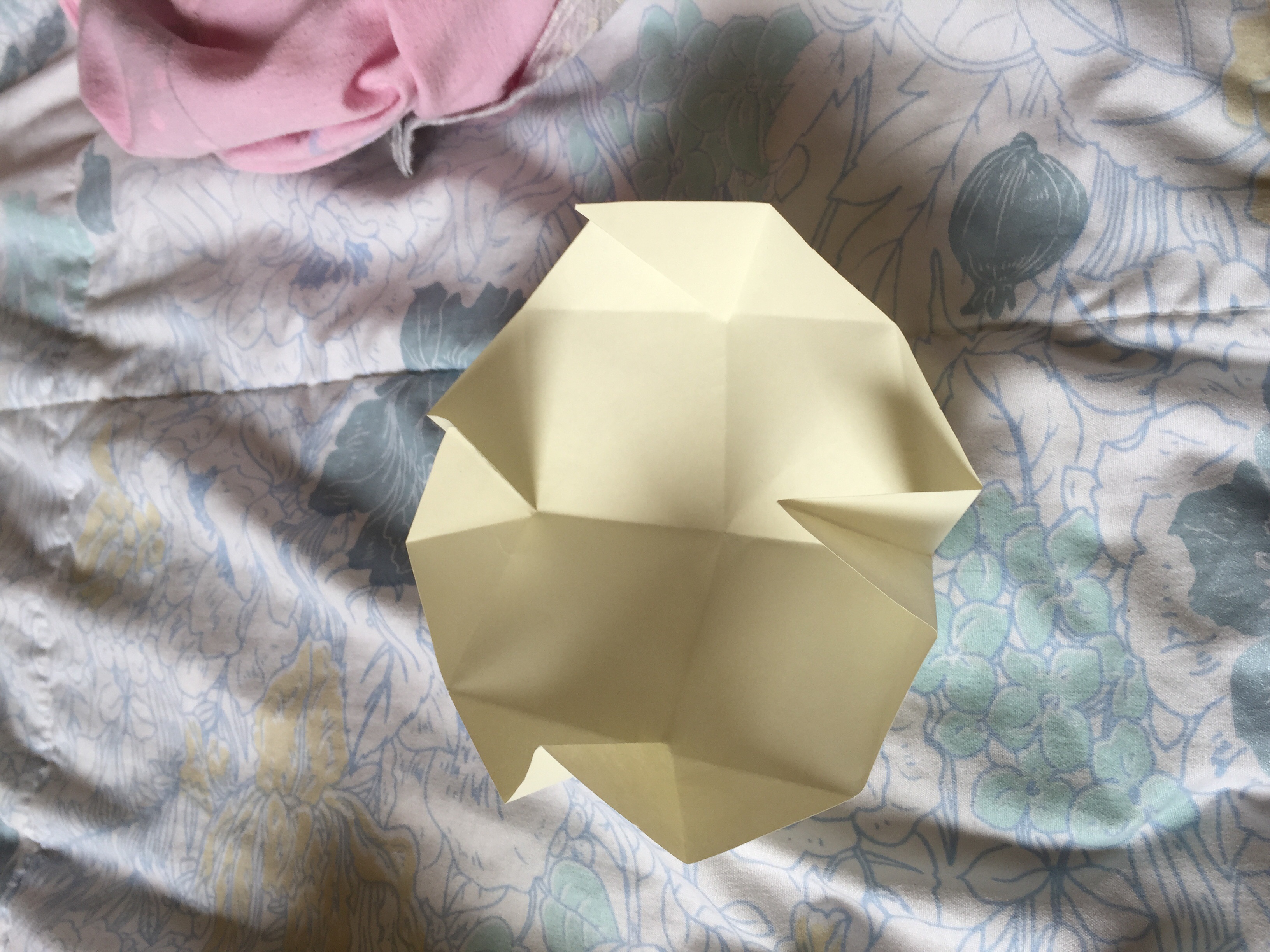 Ľ̳