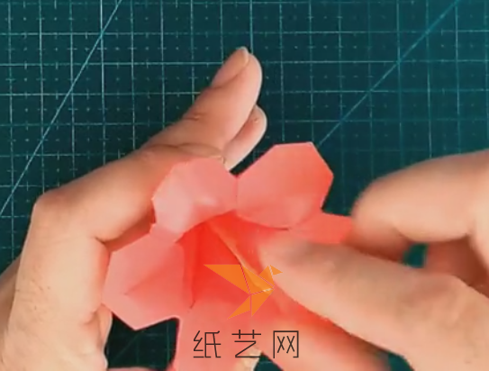 {λ
