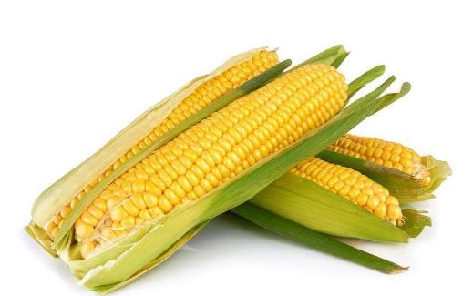 ʲôʳAѪӲ