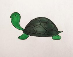 ƶôÿֺΣ