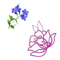 ƯĻֳDֳ